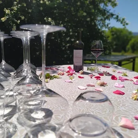 Domaine La Tour Bed & Breakfast Loubens (Ariege)